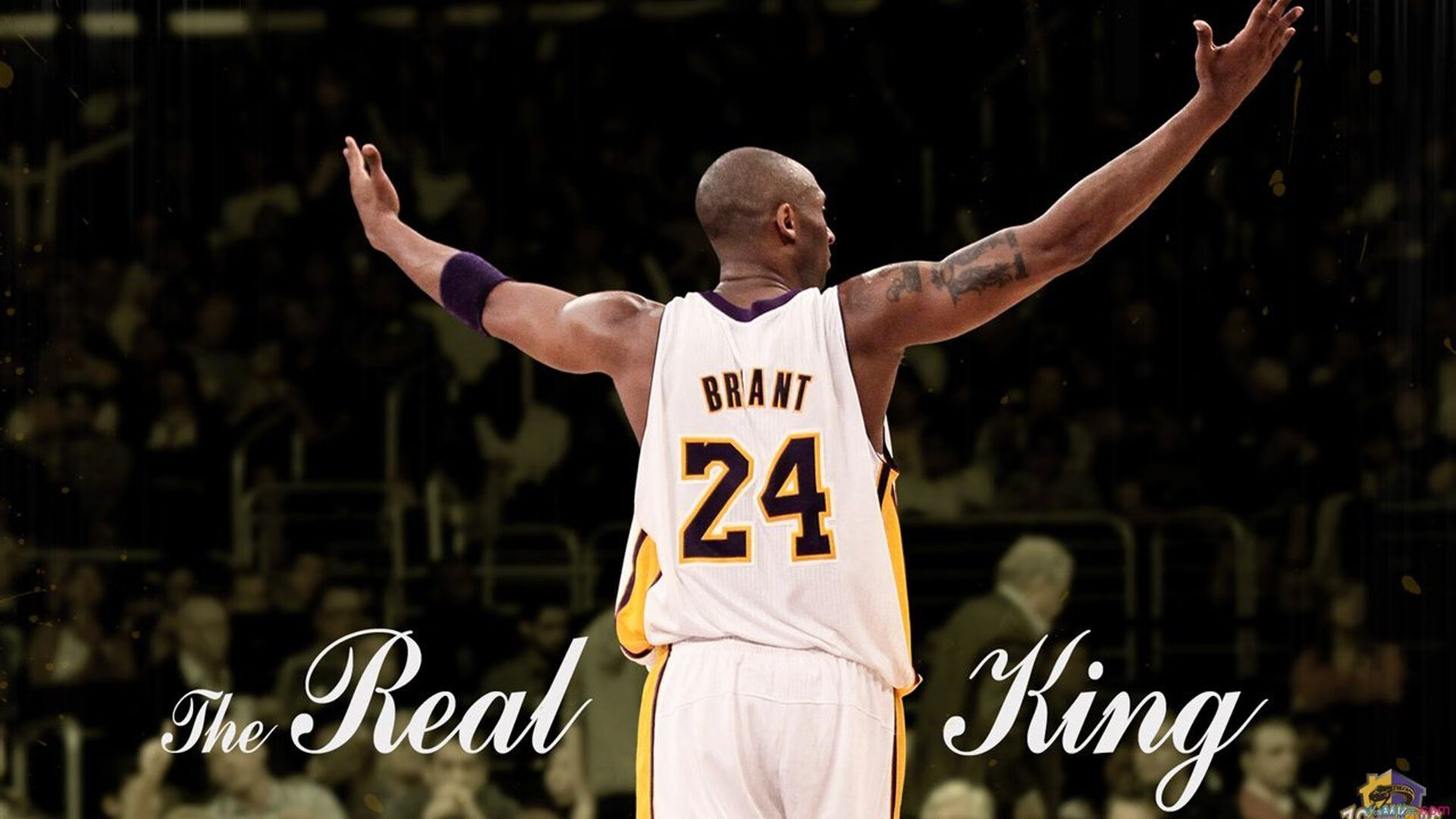 星空游戏平台-NBA球员职业规划建议,nba球员的职业年限