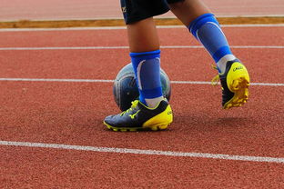 星空体育app官网入口-NBA球员伤病康复进展,nba球员伤病实时更新