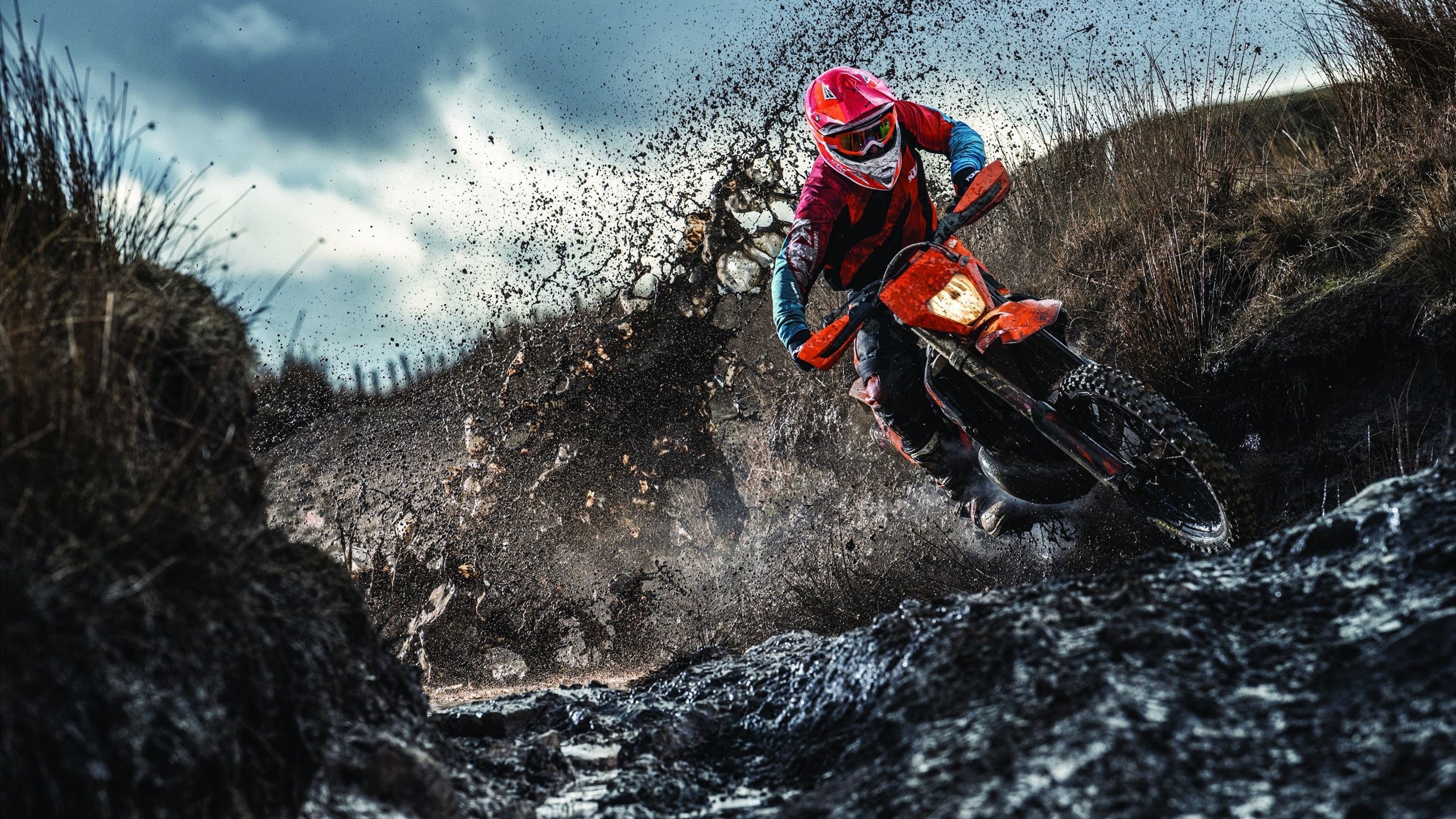 XINGKONG ESPORTS-NBA球员心理素质提升课程,nba球员身体素质训练